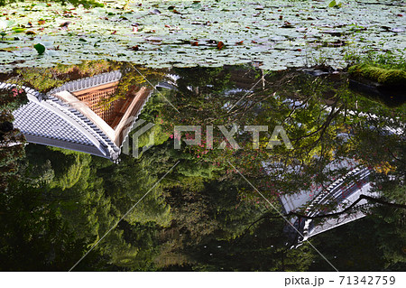 板敷山大覚寺へ行きました #91 板敷山大覚寺へ行きました #91 71342759