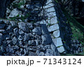 田丸城 71343124
