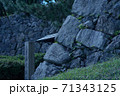 田丸城 71343125