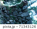 田丸城 71343126
