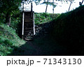 田丸城 71343130