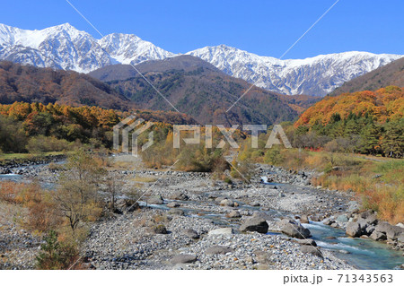 白馬の秋　白馬大橋から望む冠雪した白馬三山 71343563
