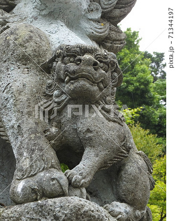 福井県福井市にある足羽神社の狛犬 福井県福井市にある足羽神社の狛犬 71344197