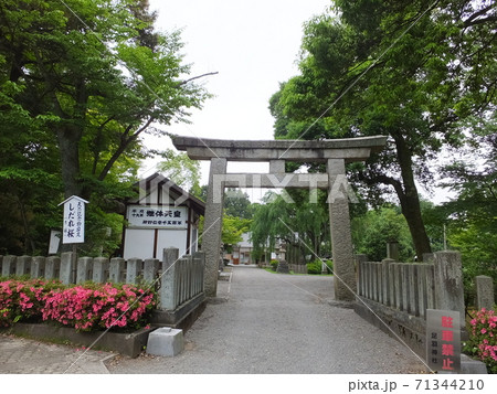 福井県福井市にある足羽神社の鳥居 71344210