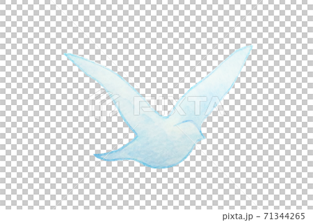 鳥 71344265