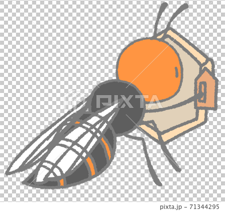 巣作りするスズメバチ 灰色 のイラスト素材