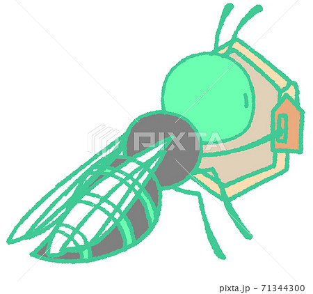 巣作りするスズメバチ 青緑色 のイラスト素材