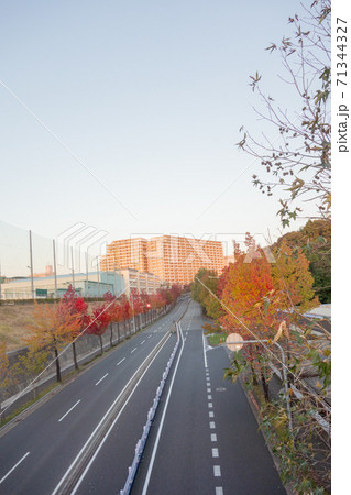 紅葉の自動車道路と団地 紅葉の自動車道路と団地 71344327