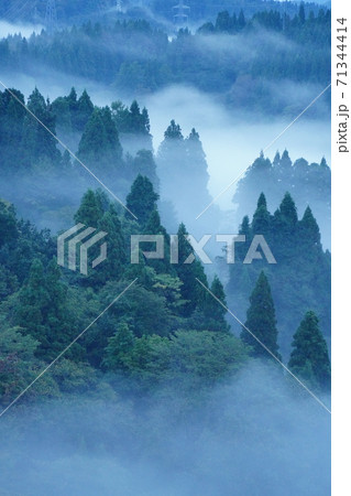 雲海 雲海 71344414