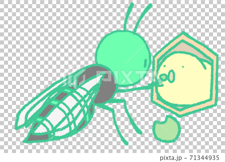 蜘蛛蜂餵幼蟲飯（藍綠色） 71344935