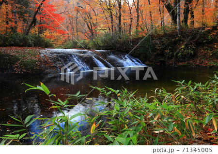 紅葉の桃洞渓谷 紅葉の桃洞渓谷 71345005