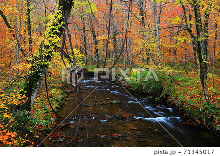 紅葉の桃洞渓谷 71345017