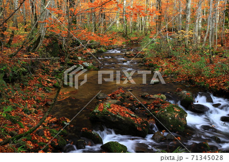 紅葉の桃洞渓谷 71345028