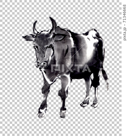 一頭牛 一頭牛 71346668