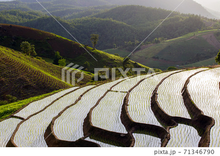 Terraced rice field at Mae Cham Chiangmai Northern Thailand 71346790