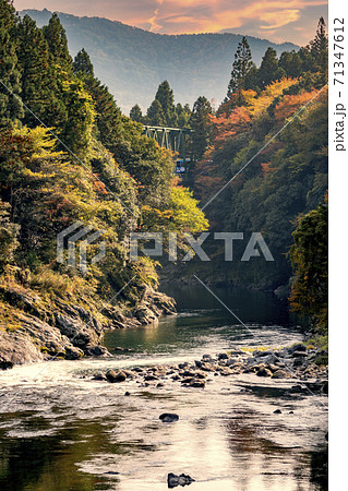 樽見鉄道と根尾川（暖色系） 71347612