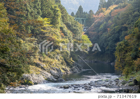 樽見鉄道と根尾川 71347619