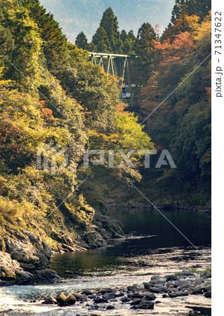 樽見鉄道と根尾川(暖色系) 樽見鉄道と根尾川(暖色系) 71347622