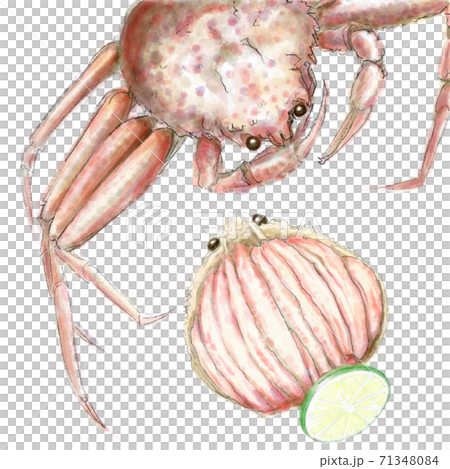 香盒蟹_D手繪_無字母 香盒蟹_D手繪_無字母 71348084