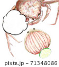 香箱蟹_D手描き_吹き出し 香箱蟹_D手描き_吹き出し 71348086