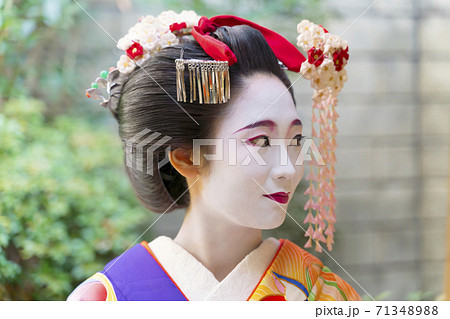 京都 舞妓 71348988