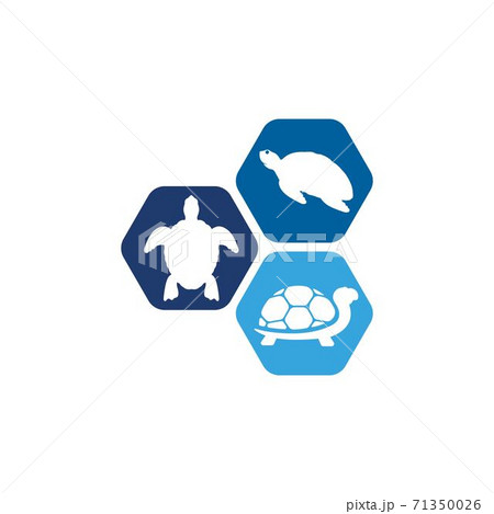 Turtle animal cartoon icon Turtle animal cartoon icon 71350026