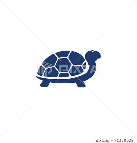 Turtle animal cartoon icon 71350028