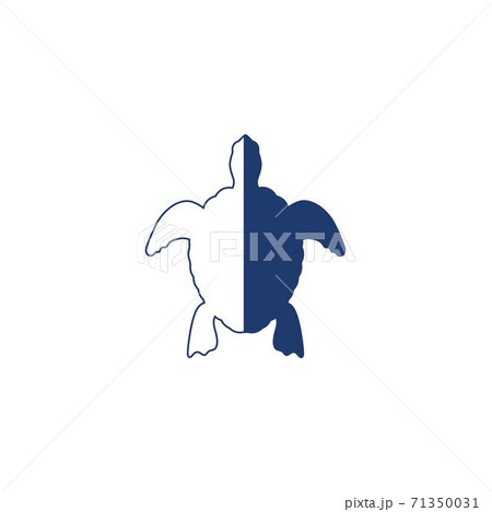 Turtle animal cartoon icon 71350031