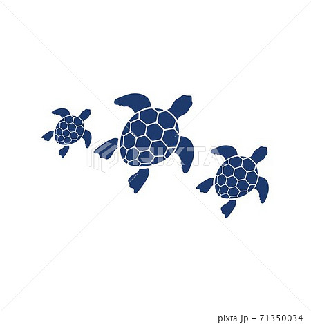 Turtle Animal Cartoon Iconのイラスト素材