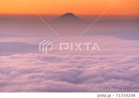《長野県》大雲海に浮かぶ富士山・高ボッチ高原の夜明け 71350206