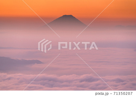 《長野県》大雲海に浮かぶ富士山・高ボッチ高原の夜明け 《長野県》大雲海に浮かぶ富士山・高ボッチ高原の夜明け 71350207