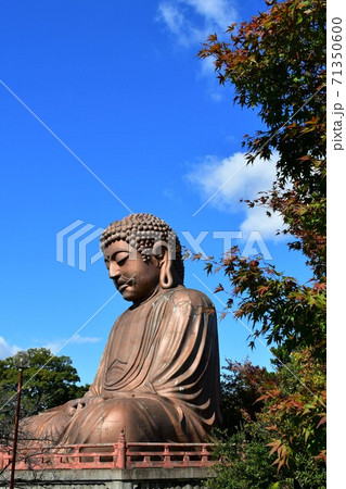 聚楽園大仏と紅葉 聚楽園大仏と紅葉 71350600