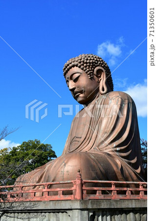 聚楽園大仏と紅葉 聚楽園大仏と紅葉 71350601