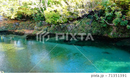 エメラルドグリーンに輝く銀山平の水面 エメラルドグリーンに輝く銀山平の水面 71351391