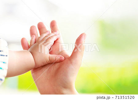 母親と赤ちゃんが手をつなぐ 親子の触れ合い 母親と赤ちゃんが手をつなぐ 親子の触れ合い 71351520