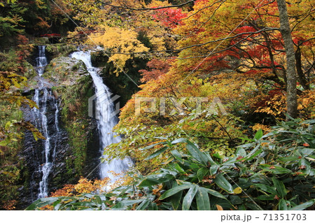 山形　銀山温泉の秋　白銀の滝 71351703
