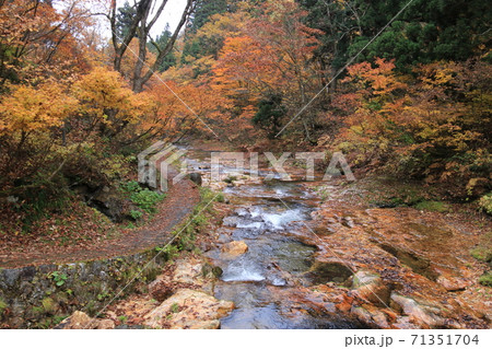 山形　銀山温泉の秋　白銀川遊歩道 71351704