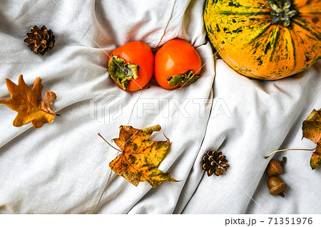 Pumpkin on white clothes background. Autumn harvest. Copy space. Persimmons and leaves 71351976
