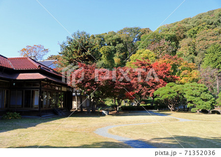 旧南部家別邸庭園の紅葉 71352036