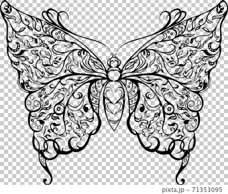 Black ornate butterfly isolated on white Black ornate butterfly isolated on white 71353095