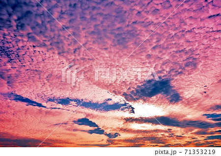 日本の美しい空 ピンク色の空と鱗雲の写真素材