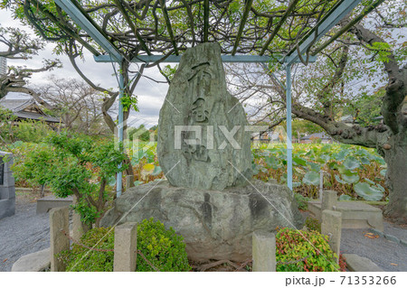 寛永寺 寛永寺 71353266