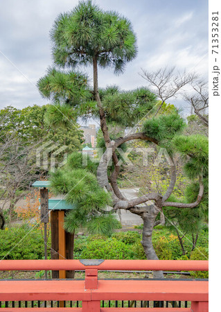 寛永寺 71353281