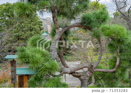 寛永寺 寛永寺 71353283