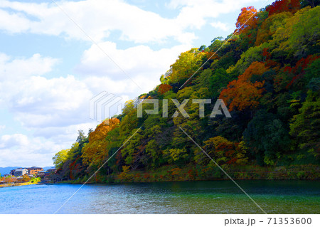 京都市右京区の桂川沿いの紅葉風景、京都、桂川、秋【11月】 71353600
