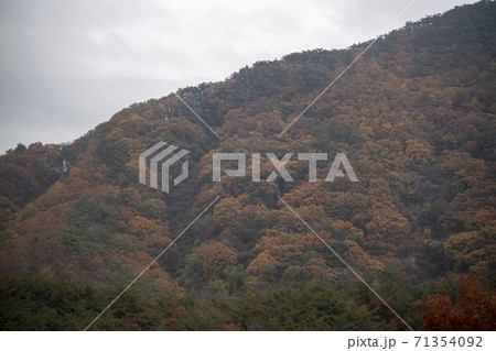 槐山郡 紅葉 秋 71354092