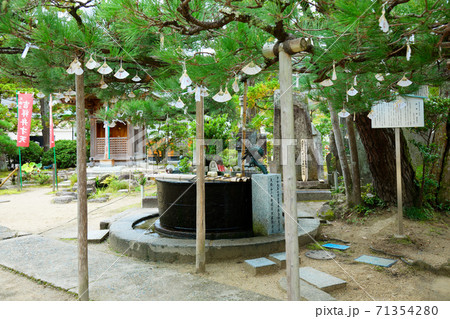 智恩寺　手水舎とおみくじ　天橋立　 71354280