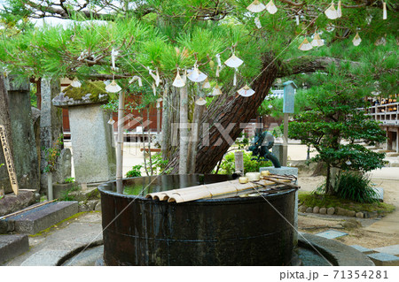 智恩寺　手水舎とおみくじ　天橋立　 71354281