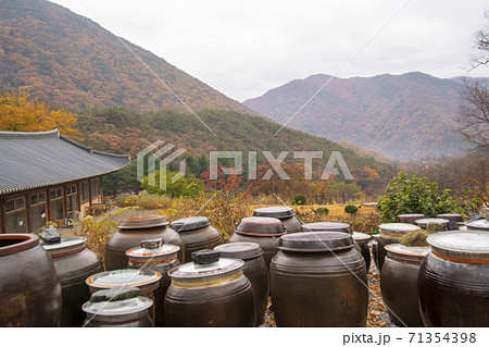 槐山郡 寺院 秋 71354398