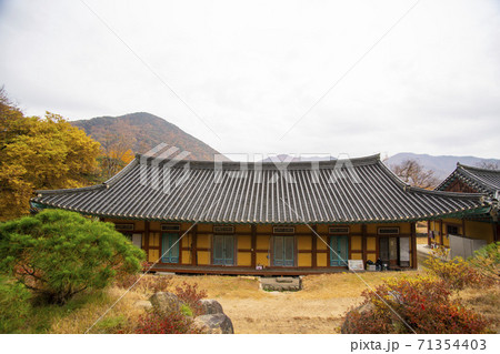 槐山郡 寺院 紅葉 71354403